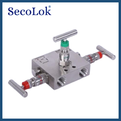 Manifold Valve