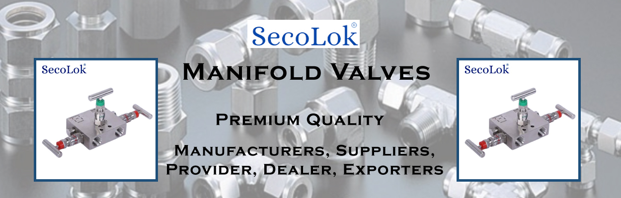 Manifold Valve